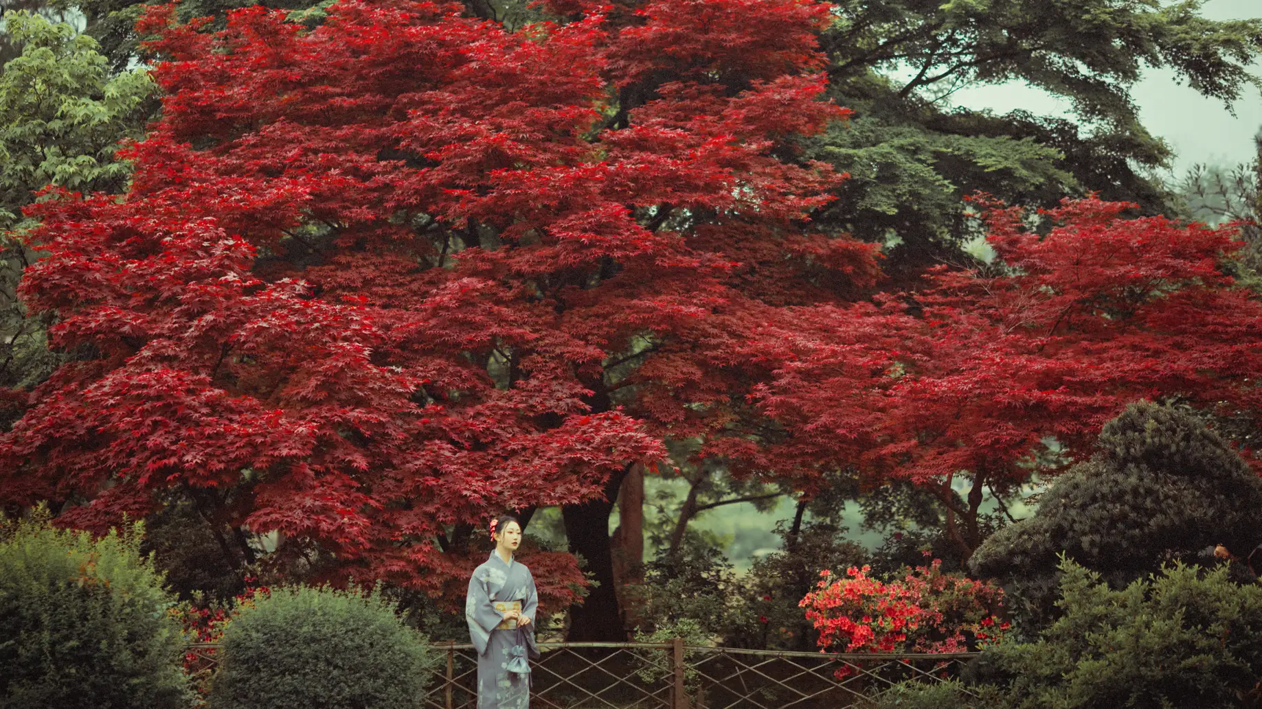 [YITUYU] 2021.09.02 Vol.219 – Deep in the Red Leaves No worries#[29P]-3